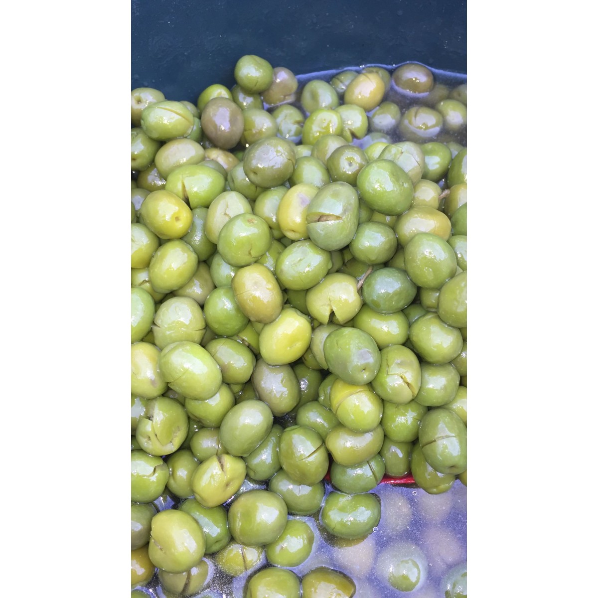 Trilye salamura zeytin 2 kg